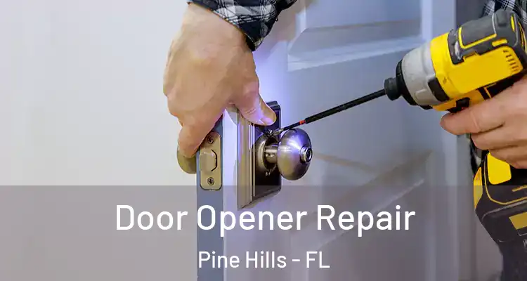  Door Opener Repair Pine Hills - FL