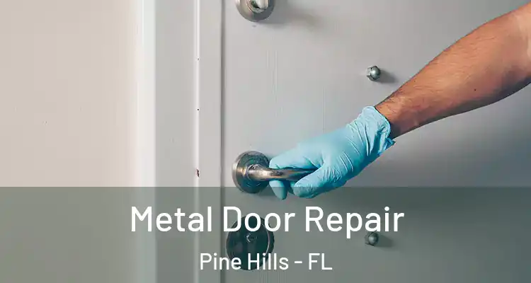  Metal Door Repair Pine Hills - FL