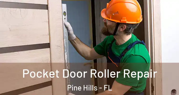  Pocket Door Roller Repair Pine Hills - FL
