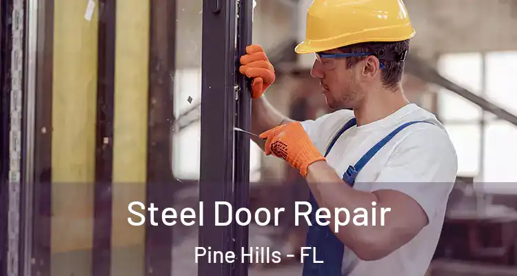  Steel Door Repair Pine Hills - FL