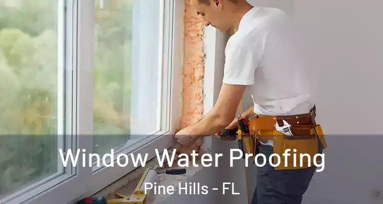  Window Water Proofing Pine Hills - FL